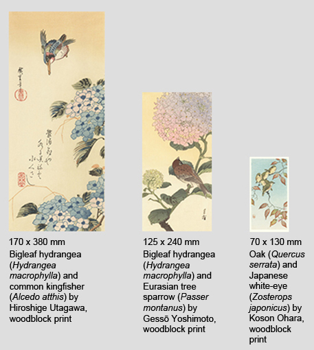 Sample Scroll Prints